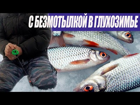 Безмотылка в глухозимье - Плотва на сырный кубик - Зимняя рыбалка 2021