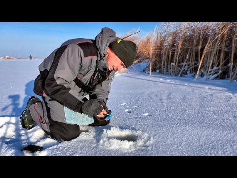 Первый лёд - долгожданный и морозный! Зимняя рыбалка. Ловля окуня.