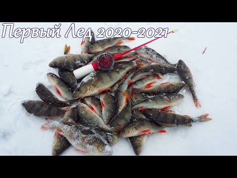 Первый Лед 2020 2021 | Ловля на безмотылку с мотылем | Рыбалка на окуня