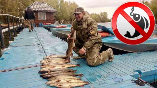 Нерестовый запрет в Москве и Московской области