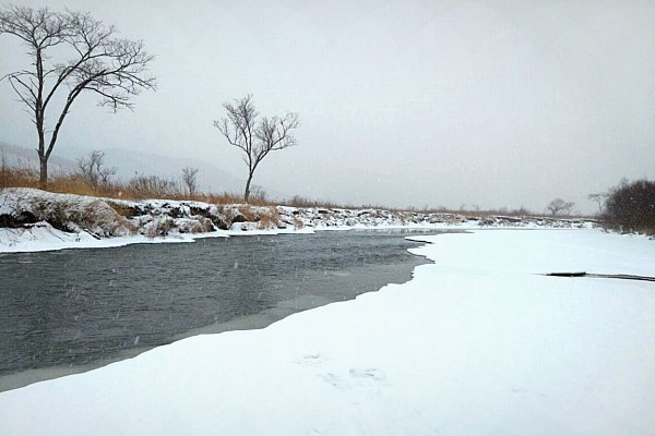 река зимой