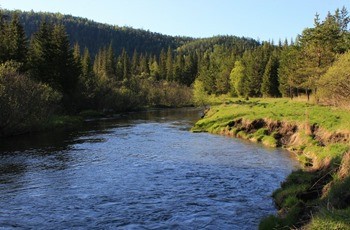 Река Базаиха фото