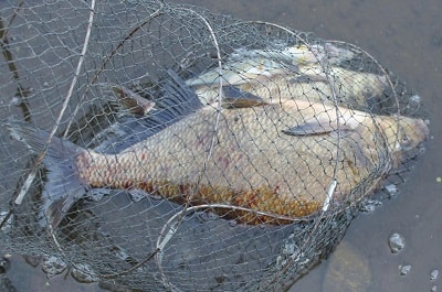 Ранняя рыбалка на фидер в марте на реке