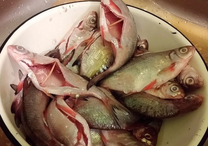 Как подготовить рыбу к посолу