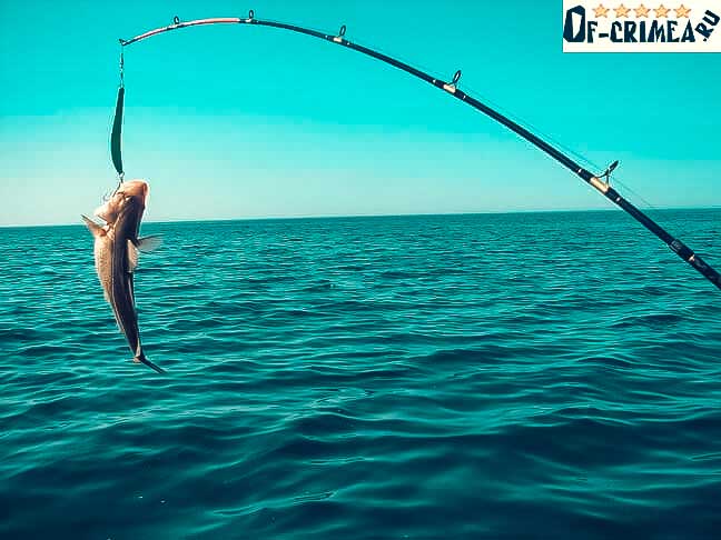 Бесплатная рыбалка в Крыму